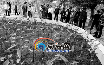 �����뽨����̬��������