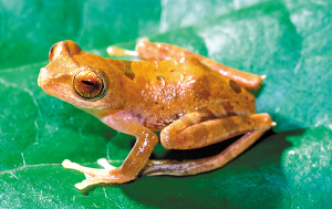 ����52��������