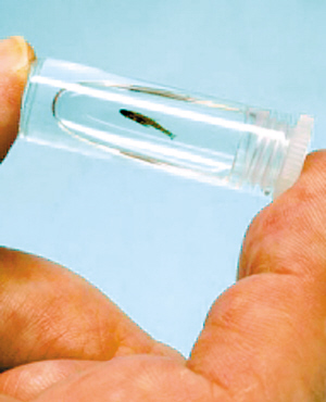 ����52��������