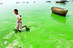 ��ɫ�ĳ�˼�벻��