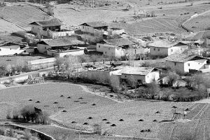 ��ʽ���ܽ����仧�������