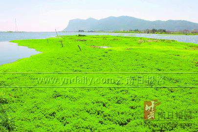 Ϊ��ؽ����Ρ��조���� ����ʵʩ��̬�޸�����