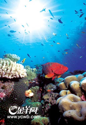 ȫ��ů����в����ʮ����Ȼ����(��ͼ)