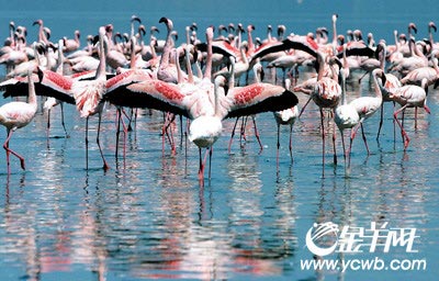 ȫ��ů����в����ʮ����Ȼ����(��ͼ)