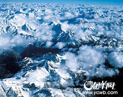 ����Ԥ��