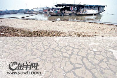 ����Ԥ��