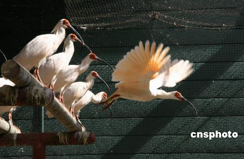 �з�ͬ�����ձ��ṩ��ֻ���q