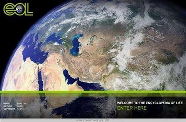 ȫ���ѧ������"�����ٿ�ȫ��"����ʶ��������