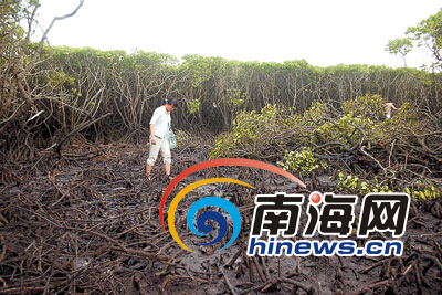 ����Ӣ¡��������Բ��⿪��