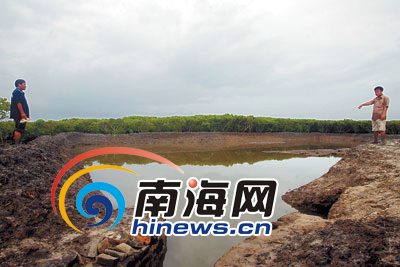 ����Ӣ¡��������Բ��⿪��