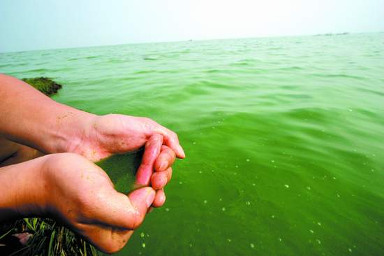 ����Σ���ƽ������ ȫ��Ԥ���������屩��