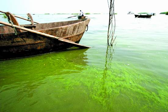 ����Σ���ƽ������ ȫ��Ԥ���������屩��