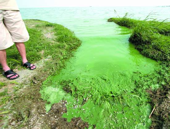 ����Σ���ƽ������ ȫ��Ԥ���������屩��