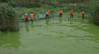 ��������ر�772�һ�����