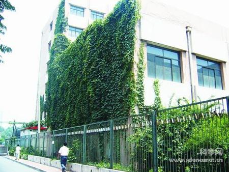 �й������̵�������ˮ(ͼ)