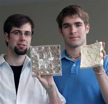 ������������ɫ����δ�����������Ģ������