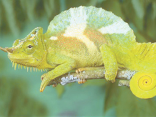 �������������з�����������