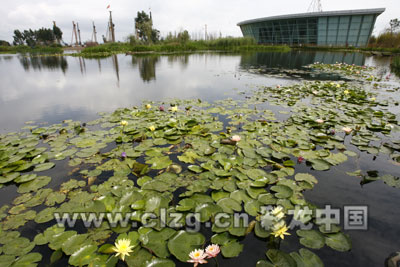 云南建最大湿地保护滇池 五甲塘成滇池之肾