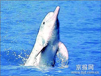 �����ྪ�ֳ���?