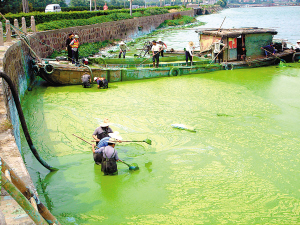 ţ�ܣ�̫�����塢��ͥ�������쳤����̬����