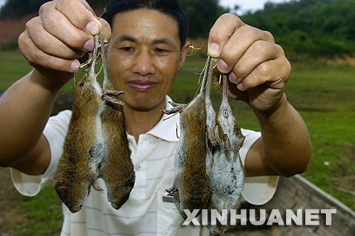 ţ�ܣ�̫�����塢��ͥ�������쳤����̬����