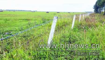 ����ƽԭ�������2200��Ķ�Ŷ����ؽ����������ԭ