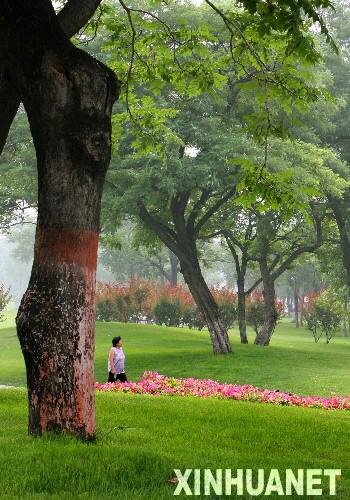  �������������ڱ��������Ÿ���������ǽ��ַ��԰�̵����У�2007��6��28���㣩��