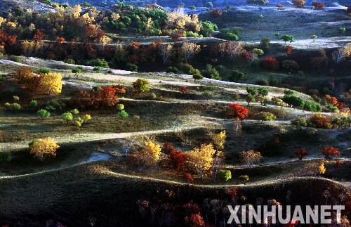 �������ɹų�徳�ڵĻ��ƴ��ɳ�������������ɳ�����ֲ�ԭ���ֳ�����ͷ׵ľ�ɫ��2005��10��24���㣩�����ƴ��ɳ��λ�����ɹ��������ж����������710���꣬�Ǿ����ɳԴ�������̵��ص㡣2000��������Ϊ����ɳ����̬�����񻯣����ɹ���������������ҵ���йز��żӴ�Ͷ�룬ʵʩΧ��������������ݡ��ɲ����ֵȹ��̡�Ŀǰ�����ƴ��ɳ���ֲ�ֲ�������ʴ������ߣ��ص���������̬״�����Ը��ơ�