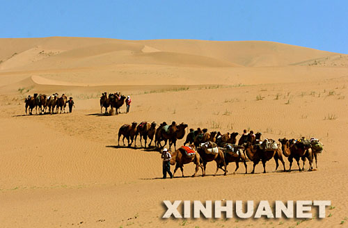 һ֧�ն��ڰ͵�����ɳĮ���н�