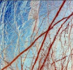 ��ѧ�ҷ���������� �������ܴ��10����