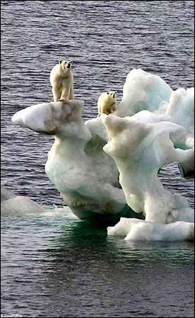 ȫ�������ů�����ܱ�����ĩ������ʧ(ͼ)