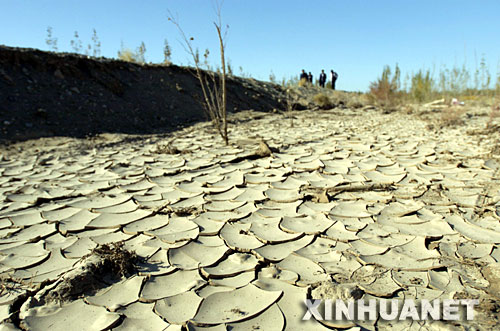 图为位于敦煌市杨家桥乡干涸的党河河道 图为位于敦煌市杨家桥乡干涸的党河河道