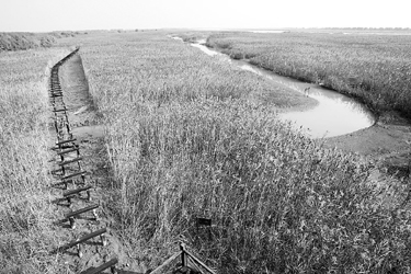 ʪ�ع����˲���ѵ���ؽ���