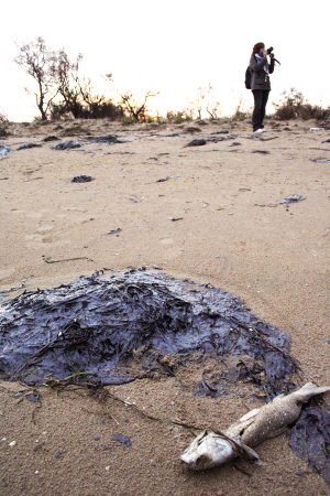 ǧ������й©�𻷾�����