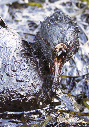 ǧ������й©�𻷾�����