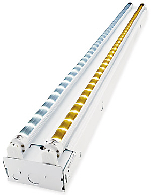 8����ɫ������