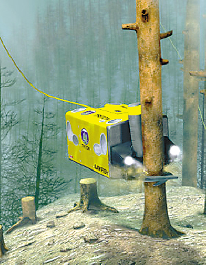 8����ɫ������