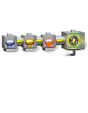 8����ɫ������