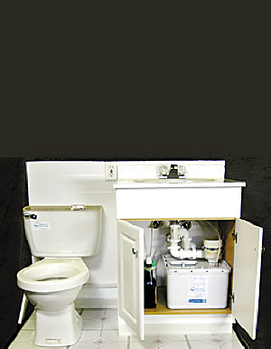 8����ɫ������