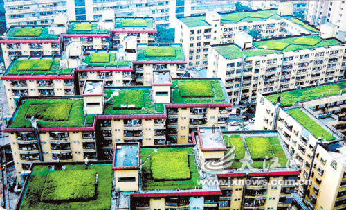 ��¥���ϡ������¡���ͼ��