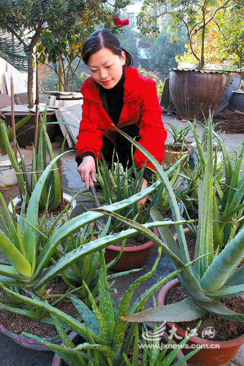 ��¥���ϡ������¡���ͼ��