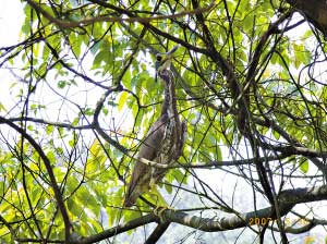 ������Ǹ߻�ҵ���������㵽�ĺ��ϻ��� ��ȫ���м�¼�ڰ��ĺ��ϻ��� ������������ֻ��Ŀǰ�Ѿ����ڱ�Σ��״̬����ͼƬ��������Ҽ���Ȼ��������ɽ�������ṩ��