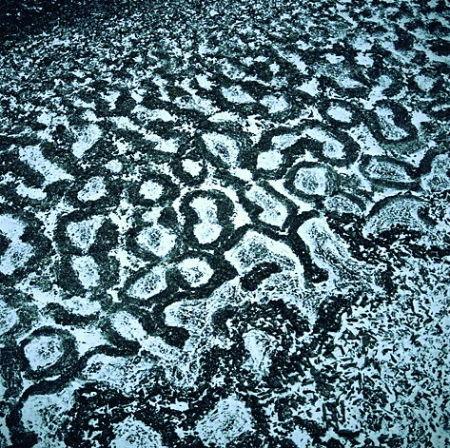 冰原冻土:封存60万年前远古细菌(组图)