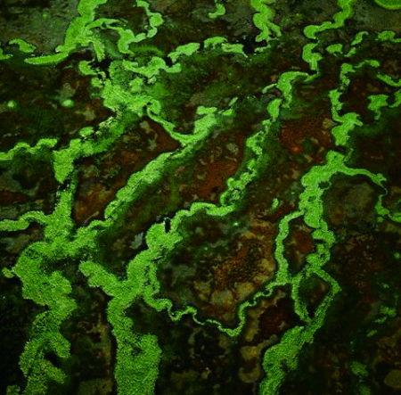 冰岛上的冰原冻土