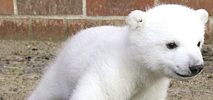 2007�����̵㣺2007ʮ��������