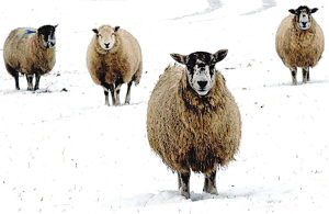 2007�����̵㣺2007ʮ��������