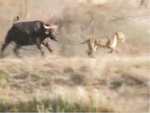 2007�����̵㣺2007ʮ��������