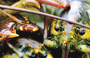 2007�����̵㣺2007ʮ��������