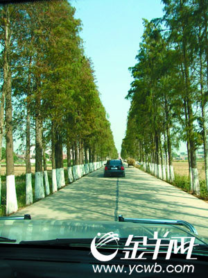 տ����̬�������������Ȼ���˾Ӻ�г������ֵ(4)