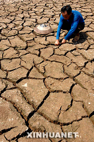 �����ظ壺�й����������ڻ���Ӧ�ԡ�����仯��